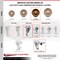 Service Caster 5 Inch SS High Temp Phenolic 1/2 Inch Threaded Stem Caster Set Total Lock Brake SCC-SSTSTTL20S514-PHSHT-121315-4 - alternate 3